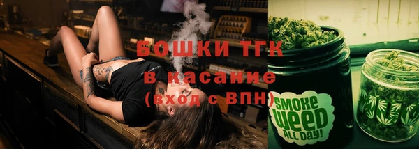 МДПВ Михайлов